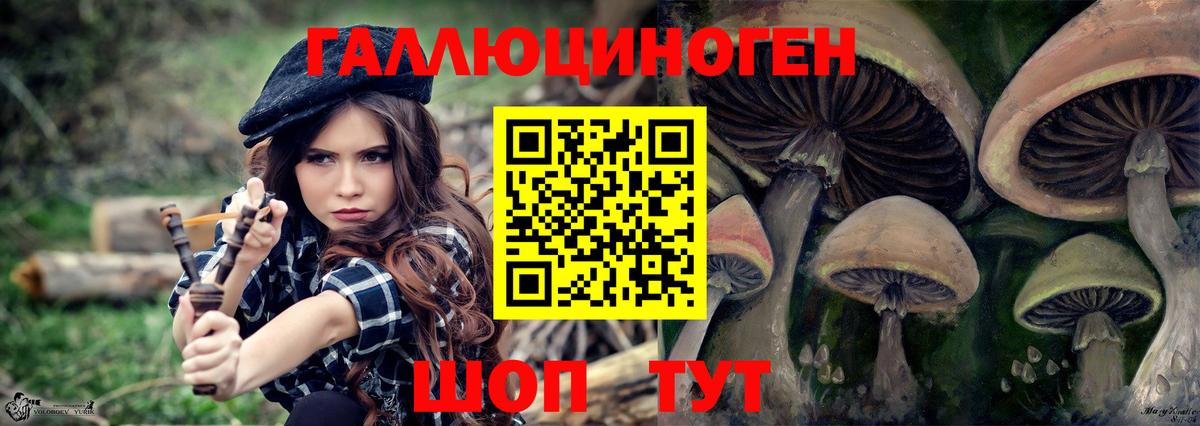 Нижний Новгород  Галлюциногенные грибы Psilocybine cubensis  Вход с VPN 