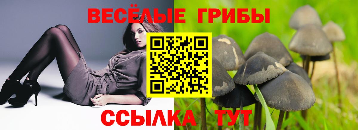 Галлюциногенные грибы ЛСД Нижний Новгород